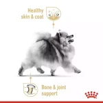 غذای خشک سگ بالغ نژاد پامرانین رویال کنین (Royal Canin Adult Pomeranian) وزن ۱.۵ کیلوگرم - تصویر 3